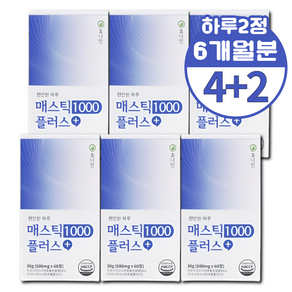 그리스 키오스 매스틱검 매틱스 메스틱 속편한 하이 매스틱 위매스틱, 60정, 6개