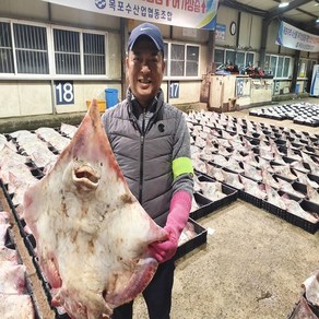 목포홍어 전문 흑산도 홍어 국산 홍어 250g 500g 1kg 홍어애