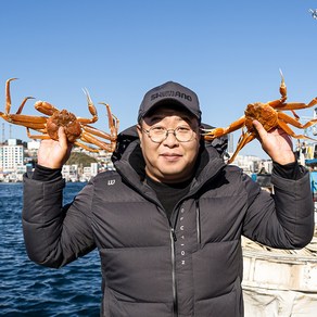 동해안 포항 구룡포 울진 영덕 대게 3마리 활 자숙 찜, 1세트, (생물) 대사이즈 대게 3마리