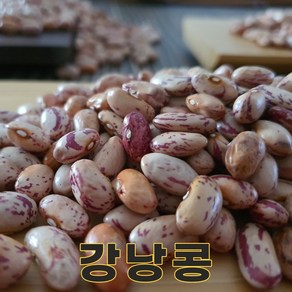 밥보야 24년산 국산 강낭콩 1kg 호랑이콩 양대 호랑이강낭콩