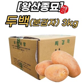 씨감자 (정품) 두백 20kg 보급형 강원도 채종 감자, 1박스, 3kg