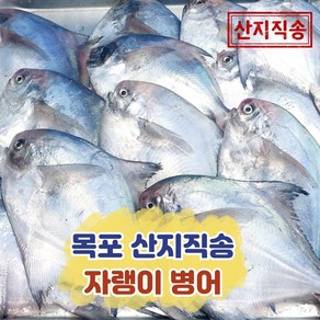 국산 자랭이 병어 목포 산지직송, 1개, 2kg(횟감손질)