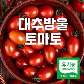 산지직송 유기인증 유기농 대추방울토마토, 1개, 5kg