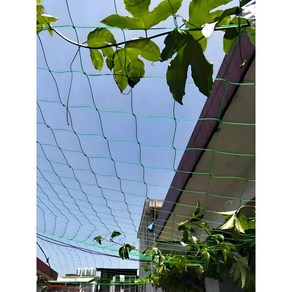 SHsevice 고추망 호박 오이 망 보호 농사용 넝쿨, 1개, 폭 1m x 길이 9m(전면 엣지 잠금 메쉬 10cm)