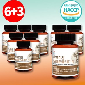 초록입홍합 소연골 콘드로이친 연어코 프로테, 9개, 60정