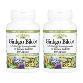 내추럴팩터스 GinkgoBiloba 징코빌로바 60정 2개 은행잎추출물