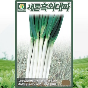 다농 새론흑외대파 20g, 1개