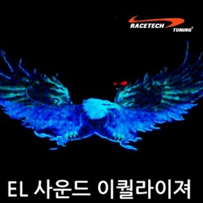 레이스텍 이글윙 프리미엄 EL 사운드 이퀄라이져