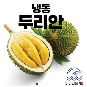 냉동두리안500g 손질두리안 열대과일, 1개