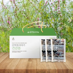 산약초이야기 국내산 익모초즙 진액 엑기스 120ml 60포