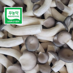 [올라경북]친환경 무농약 느타리버섯 2kg 손질완료 산지직송