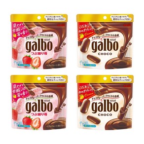 일본 메이지 galbo 가르보 초코 딸기 초코 4개 세트, 59g