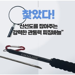 [낚시장터] 참돔부레공기빼기 공기제거바늘 챌리온 에어스틱 피징바늘 공기빼기 부레침, 1개, 블랙
