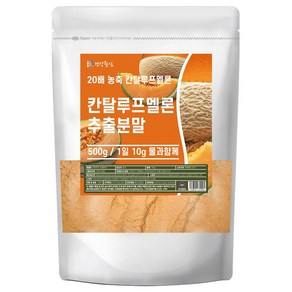 건강중심 20배 칸탈로프 멜론 추출 분말 500g, 1개