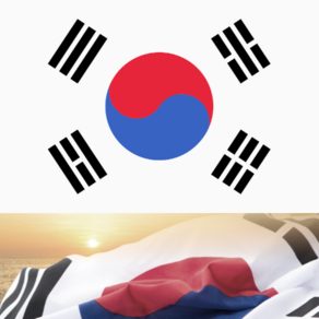 태극기 2호, 1개