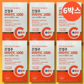 (600일분) 진정주 비타C 진약사몰 비타민C 1000 정, 6개, 100정