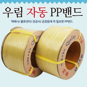 우림 국산정품 pp밴드 노끈 포장끈 밴딩끈6kg 18mm, 1개