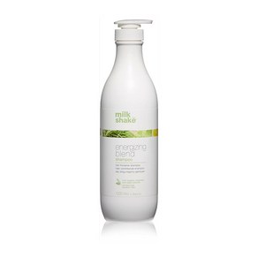 밀크쉐이크 에너자이징 샴푸 1000ml, 1개, 1L