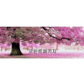 크로스코리아 실십자수 프린트패키지-벚꽃