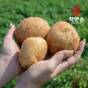 [착한손] 못난이 감자 포슬포슬 햇감자 수미감자, 못난이 햇감자 2.5kg (크기랜덤), 1개