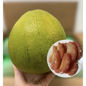 베트남 자몽 VIET NAM 자몽 핑크 포멜로 베트남 포멜로 PINK POMELO (1과 1.2kg~1.5kg), 1개, 1.4kg