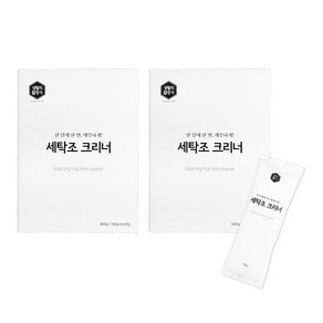 생활의정석 세탁조 크리너 100g 6개입, 600g, 12개