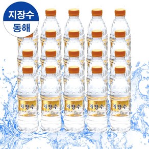 동해 약천골 생수 지장수 황토 강원도동해시 미네랄 PH8.0 알카리수, 20개, 500ml