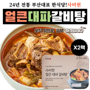 사미헌 얼큰 대파 갈비탕 880g, 2개