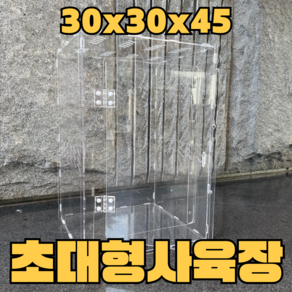 크레용샵 도마뱀 사육장 초대형 30 30 45, 1개, 투명아크릴 30x30x45