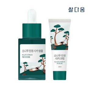 [NEW] 라운드랩 소나무 진정 시카 앰플 기획 (+진정 크림 10ml 증정)