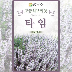 다농 타임 백리향 씨앗 1000립, 1개