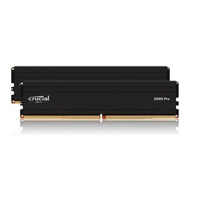 마이크론 Cucial DDR5-5600 CL46 PRO 아스크텍 (64GB(32Gx2)), 2개