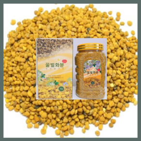 벌화분 꽃가루화분 1kg, 1개