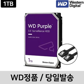 [WD정품] WD퍼플 1TB CCTV DVR 하드디스크 WD11PURZ 오늘출발, 1개, WD퍼플 1테라 [WD11PURZ]