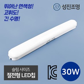 LED 성진 다용도 등기구 형광등 일자등 30W