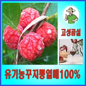 구지뽕 꾸지뽕 발효효소진액 90ml 국산유기농 구찌뽕열매100%, 1박스, 2.7L