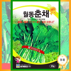 세계종묘 월동춘채 씨앗 20g, 1개