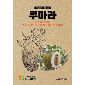 더드림 쿠마라 멜론씨앗 멜론종자 / 나만의 스타일! 맛도 모양도 개성 넘치는 유러피안 멜론!, 1개