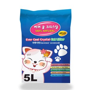 에버쿨 크리스탈라벤더 5L - 실리카 고양이 반려동물용품 pet shop