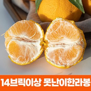 못생겨도 맛있다 14브릭이상 당도보장 고당도 한라봉 가정용혼합과, 1박스, 3.5kg