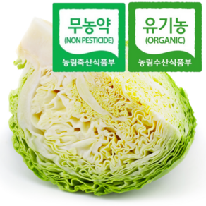 국내산 친환경 유기농 양배추, 1개, 1kg