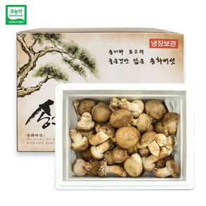 젊은 농부 무농약 송화버섯 일반형 명절 설 추석 선물세트, 1개, 1kg