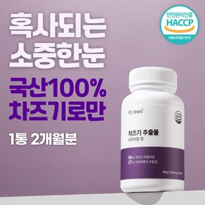 핏시드 루테올린 차즈기 추출물 1000mg, 60정, 1개, 60정