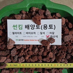 화산석 5kg 2kg 화산사 레드 어항바닥재 돌화분마감재 10~20mm, 1개