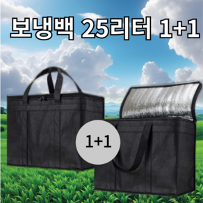 투스롱 보냉가방 1+1 대용량 25리터 가벼운 심플