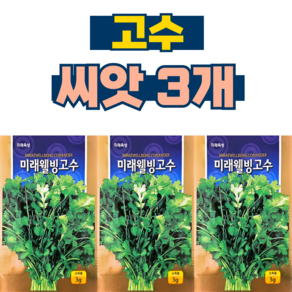 고수씨앗(300립) 3개 샹차이 고수키우기 향채 CORIANDER 코리앤더 씨 종자