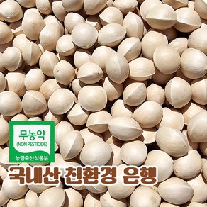 국산 피은행 은행 열매 중 사이즈 2kg, 1개