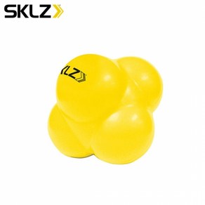 SKLZ 불규칙바운드 공 동체시력 순발력 훈련 스킬즈 리액션볼