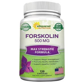 어스퀘어드 뉴트리션 포스콜린 500mg 120정 aSquaed Nutition Foskolin, 1개, 기본