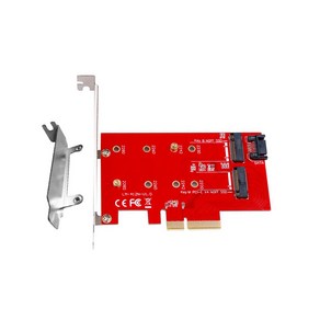 듀얼 M.2 NVME & NGFF SSD to PCI-E 변환 카드 + LP브라켓, 1개